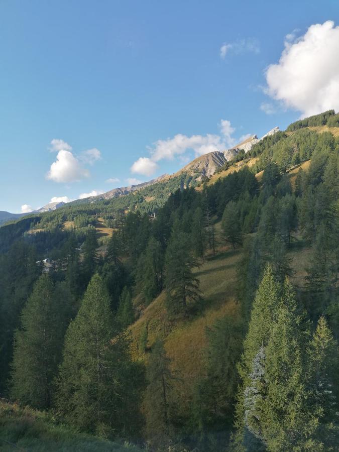 La Foux D'Allos Centre Station, Vue Panoramique Quartier Les Etoiles 50M Des Remontees Dış mekan fotoğraf